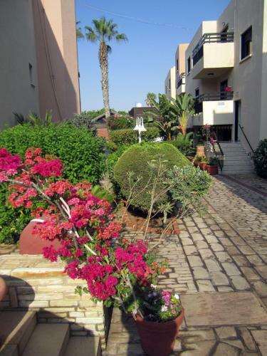 Senator Hotel Apartments