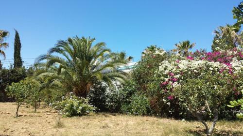 Villa De Charme Sousse