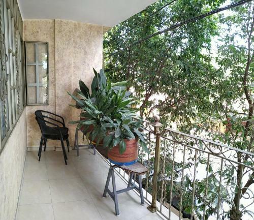 Hotel Merkezi Saray