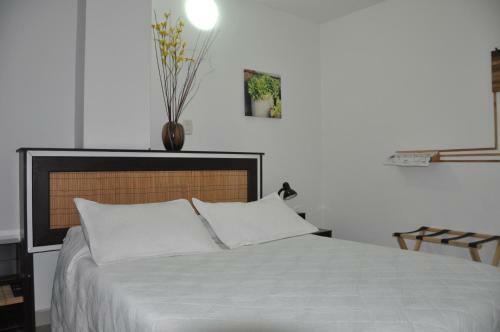 Hotel Meson De Las Flores