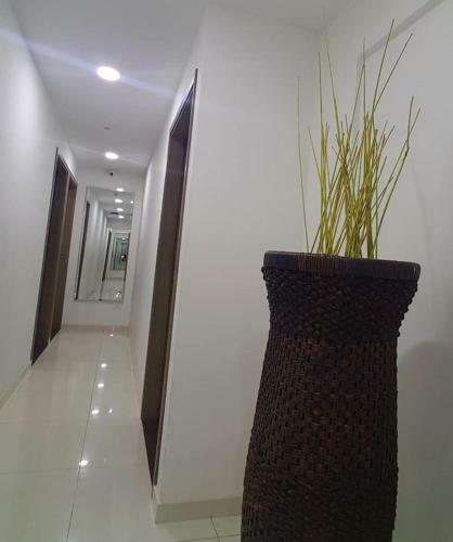 Bed & Breakfast A Bogota On Holidays By Open