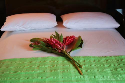 Hotel Amazonas Real