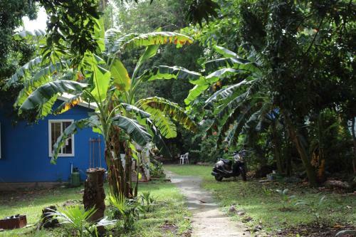 Cabanas Ismasori's
