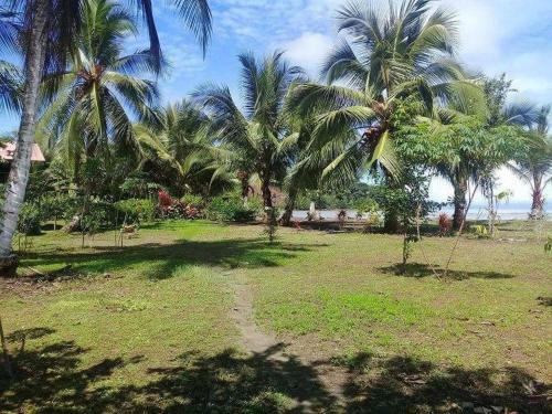 Hotel Playa Bonita