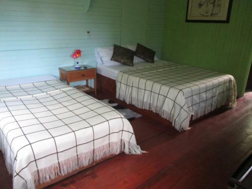 Hostal Hotel Flemming Tree