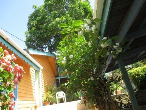 Hostal Hotel Flemming Tree