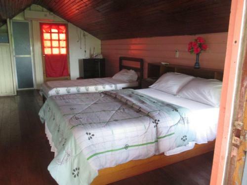Hostal Hotel Flemming Tree