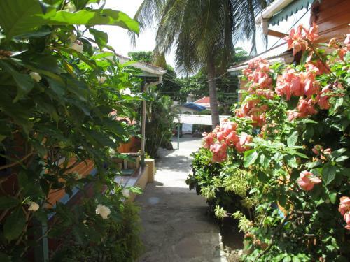 Hostal Hotel Flemming Tree