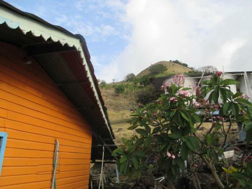 Hostal Hotel Flemming Tree