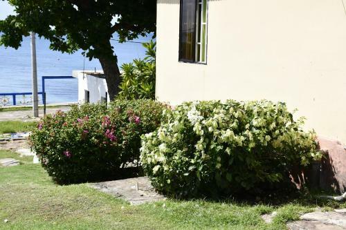 Apartamento Posada Sweet Anashly