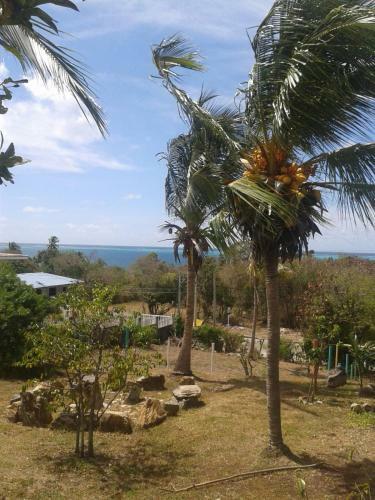 Apartamento Windy View Guest House