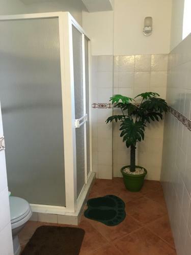Villa Real Apartments
