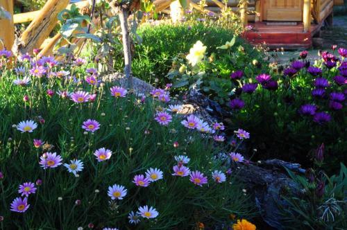 Lodge Estaci�n Del Lago