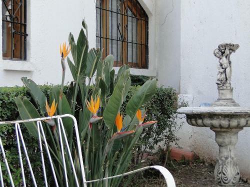 Apartamento Posada Flor Y Nata