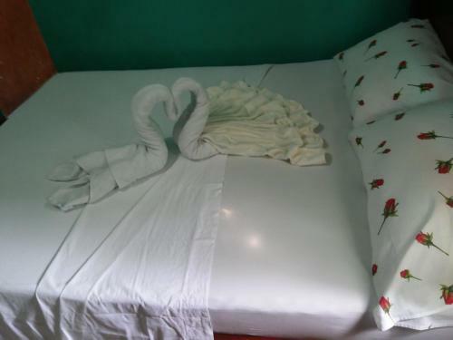 Posada Nativa Miss Trinie