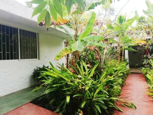 Swanka Home Apartments I