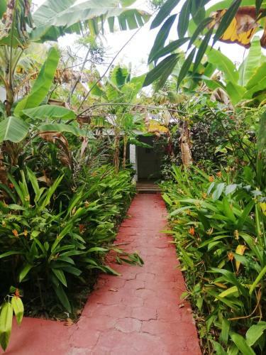 Swanka Home Apartments I