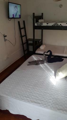Posada Nilvis Place