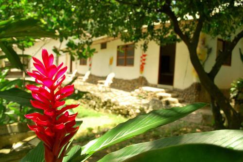 Agroturismo Finca Tur�stica Seynekun