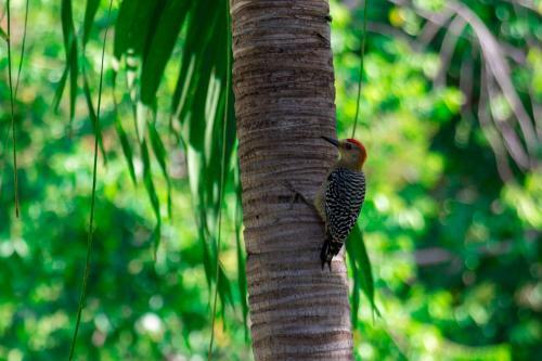Agroturismo Finca Tur�stica Seynekun