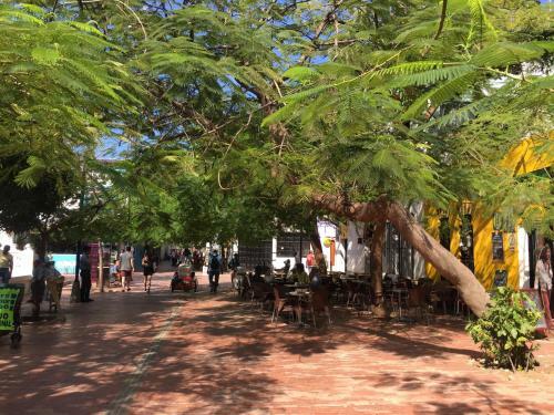 Apartamento Perla Del Caribe