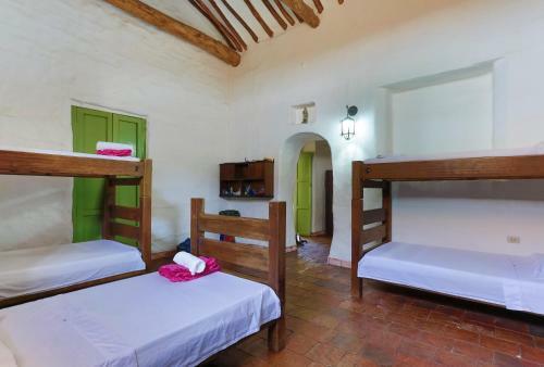 Bed & Breakfast Color de Hormiga Hostel