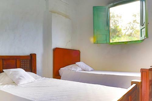 Bed & Breakfast Color de Hormiga Hostel