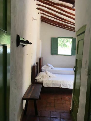 Bed & Breakfast Color de Hormiga Hostel