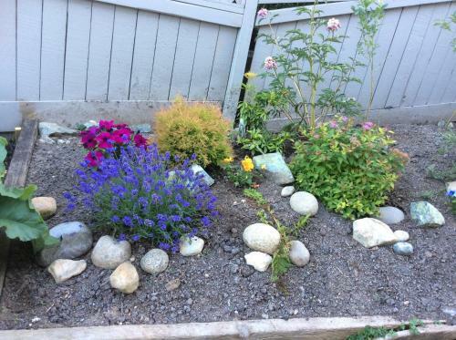 Vancouver Back Gardens