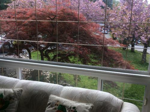 Vancouver Back Gardens