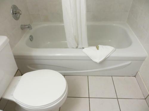 Hotel Super 8 By Wyndham Abbotsford Bc