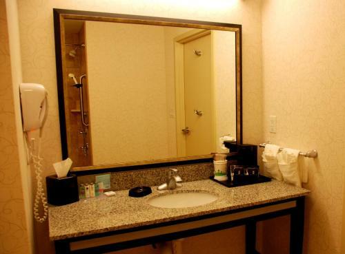 Hotel Hampton Inn & Suites By Hilton Lethbridge
