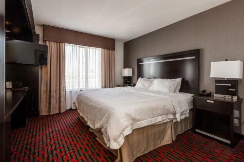 Hotel Hampton Inn & Suites By Hilton Lethbridge