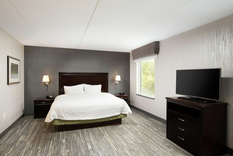 Hotel Hampton Inn & Suites By Hilton Barrie