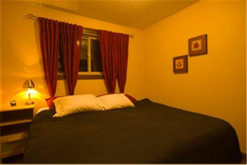 Mount 7 Guesthouse And B&B