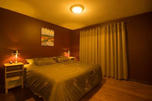 Mount 7 Guesthouse And B&B