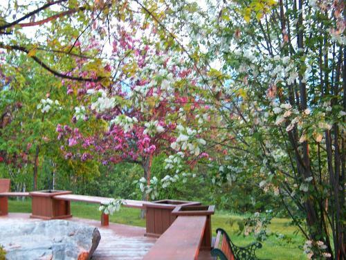Bed & Breakfast Kapristo Lodge