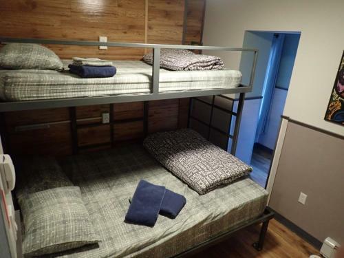 Jasper Downtown Hostel