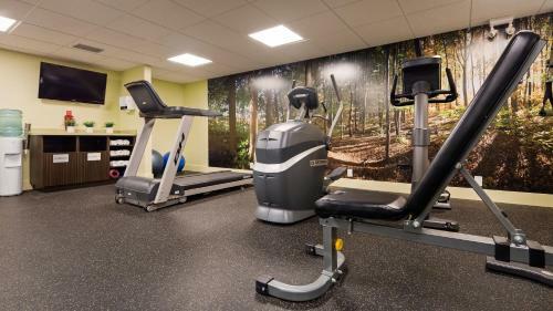 Best Western Plus Inner Harbour Hotel