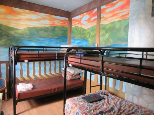 Turtle Hostel