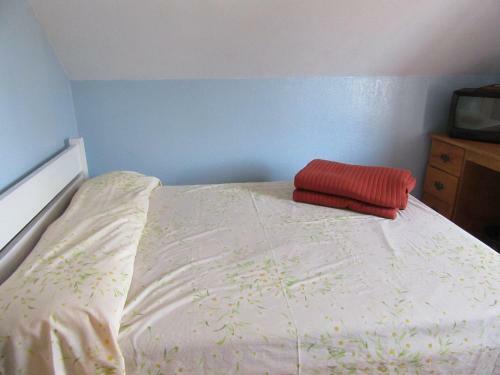 Turtle Hostel