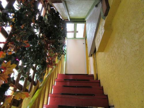 Turtle Hostel