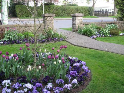 James Bay Inn Hotel, Suites & Cottage
