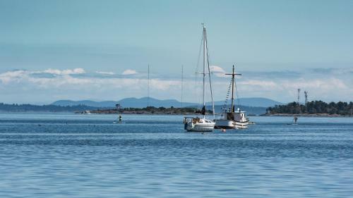 Bed & Breakfast Oak Bay Guest House