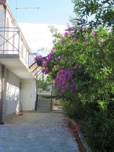 Apartment Ljubica