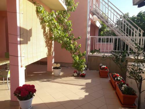 Apartments Anita