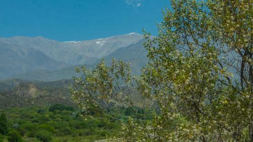 Lodge Caba�as De Monta�a Rio Amarillo