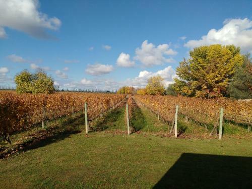 Hotel Posada Cavieres Wine Farm