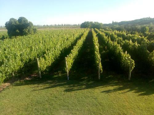 Hotel Posada Cavieres Wine Farm