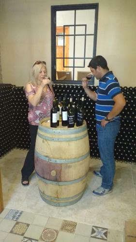 Hotel Posada Cavieres Wine Farm